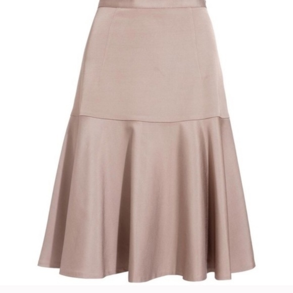 Reiss Dresses & Skirts - NWT Reiss Fifi blush flare skirt size 6 // S07